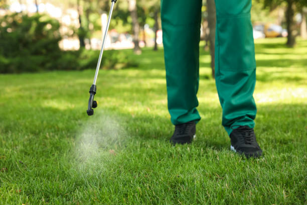 Best Rodent Control Near Me  in La Puente, CA
