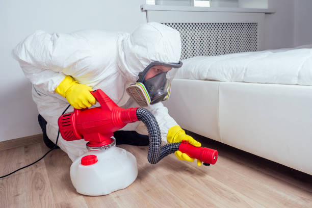 Best Best Pest Control Companies  in La Puente, CA