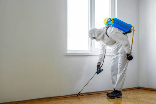 Best Flea Control Services  in La Puente, CA
