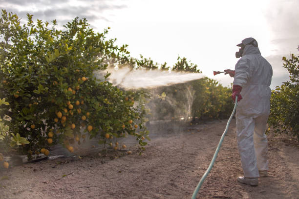 Best Pest Control Near Me  in La Puente, CA