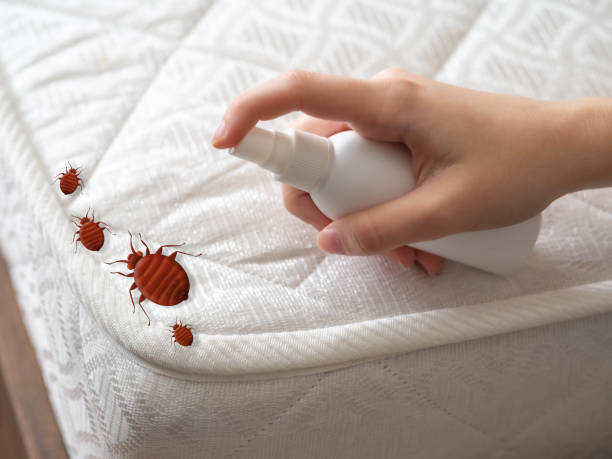 Best Pest Prevention Services  in La Puente, CA