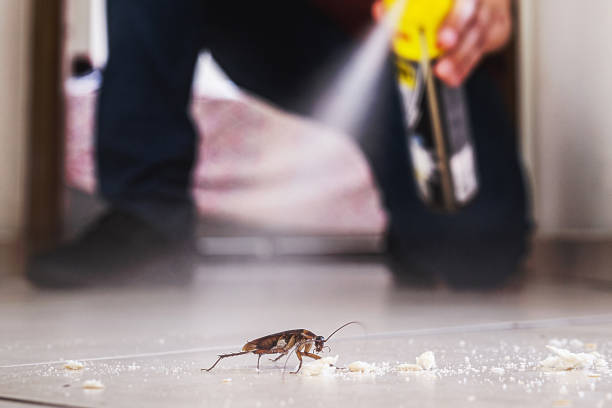 Best Best Pest Control Companies  in La Puente, CA