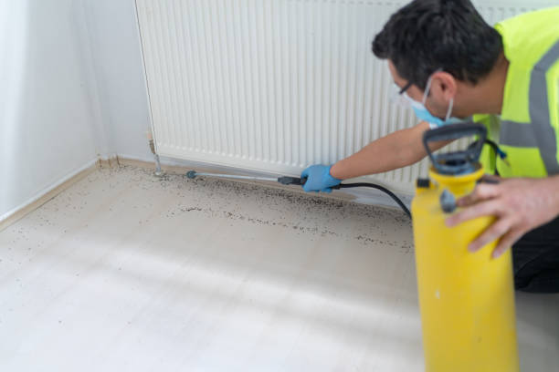 Best Affordable Pest Control Services  in La Puente, CA